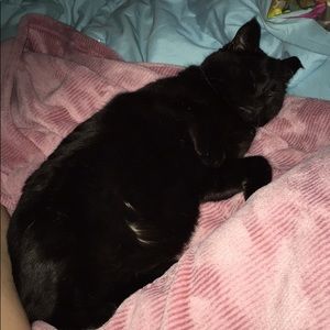 Meet your Posher, Felicity